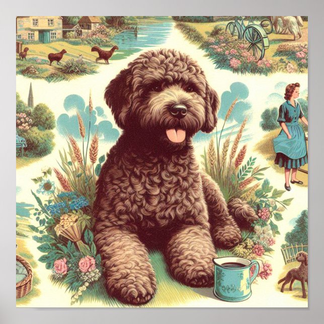 Affiche Illustration vintage Lagotto Romagnolo (Devant)