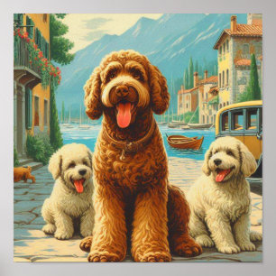 Affiche Illustration vintage Lagotto Romagnolo