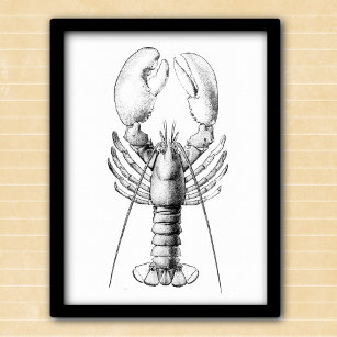 Affiche Illustration vintage noire et blanche du homard