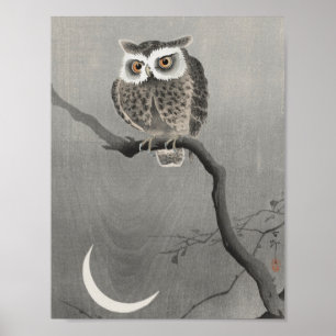 Affiche Illustration vintage Owl