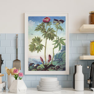 Affiche Illustration vintage Pastel Watercolor Peony