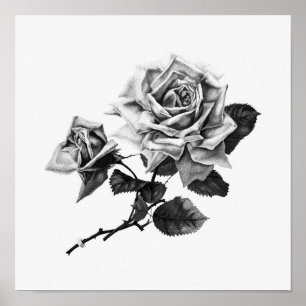 Affiche Illustration Vintage Rose