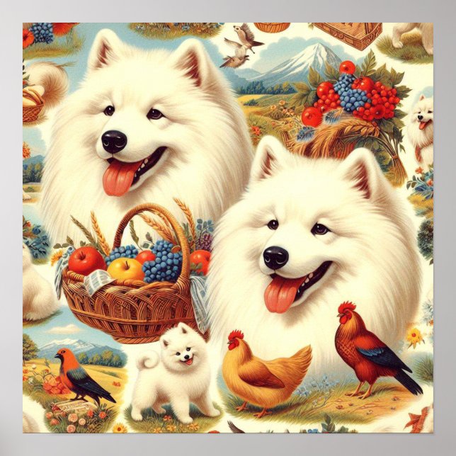 Affiche Illustration vintage Samoyed Dog (Devant)