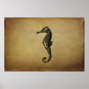 Affiche Illustration vintage Seahorse