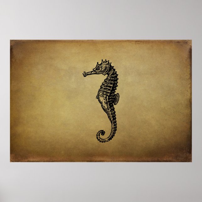 Affiche Illustration vintage Seahorse (Devant)