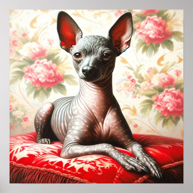 Affiche Illustration vintage Xoloitzcuintle (Devant)
