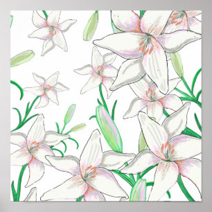 Affiche Illustration White Lilies