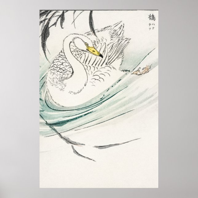 Affiche Illustration Wooper Swan. (Devant)