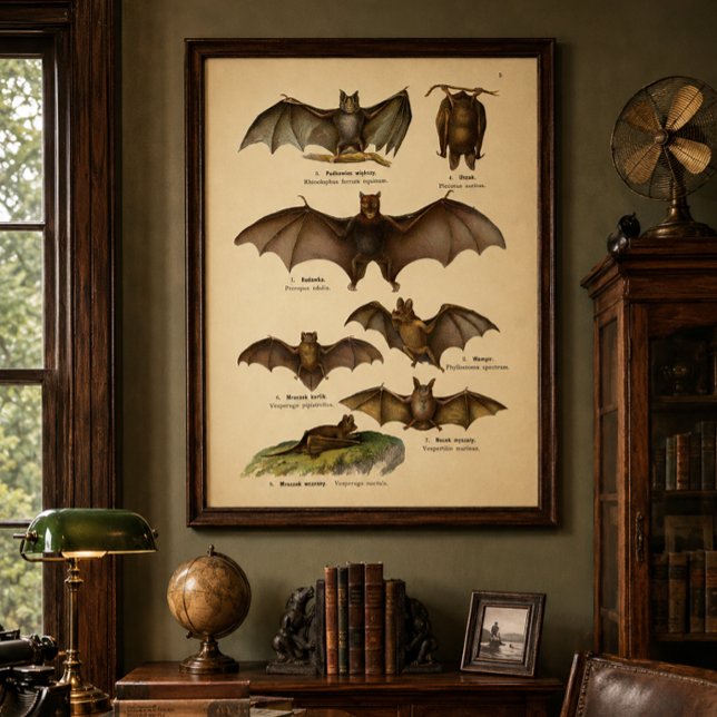 Affiche Illustrations de chauves-souris vintage (Créateur téléchargé)
