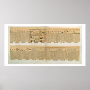 Affiche Illustrations d'un manuscrit de Pampus avec