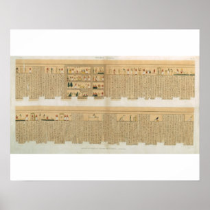 Affiche Illustrations d'un manuscrit de Pampus avec hiérol