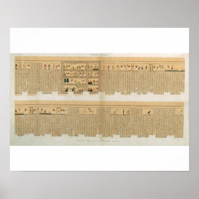 Affiche Illustrations d'un manuscrit de Pampus avec hiérol (Devant)