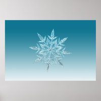 illustrations flocon de neige cristal de glace nei