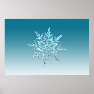 Affiche illustrations flocon de neige cristal de glace nei