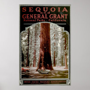 Affiche illustrative du parc national de la Sequoi