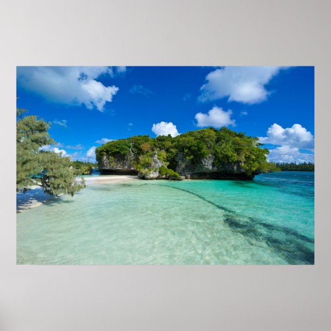 Affiche Îlot rocheux sur la plage (Devant)