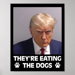 Affiche Ils mangent les chiens Trump 2025 Élection Amériqu