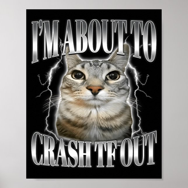 Affiche I'm About To Crash Out Funny Staring Cat Brainrot  (Devant)