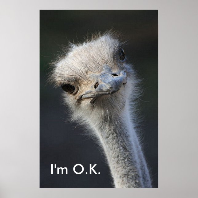 Affiche Im O.K. (Devant)