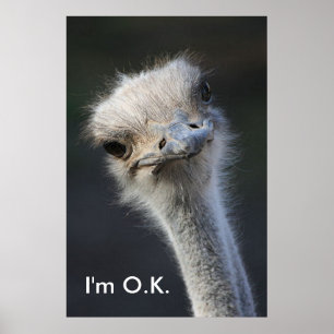 Affiche Im OK