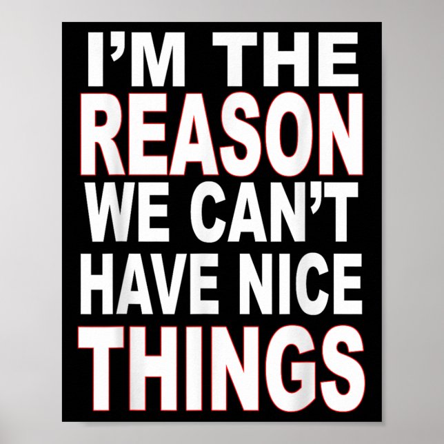Affiche I'm The Reason We Can't Have Nice Things Funny  (Devant)