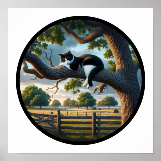 Affiche Image 3D circulaire d'un beau chat Tuxedo (Devant)