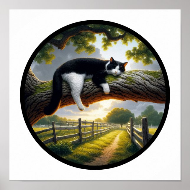 Affiche Image 3D circulaire d'un beau chat Tuxedo (Devant)