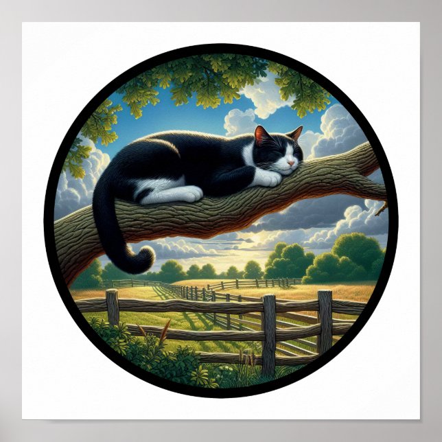 Affiche Image 3D circulaire d'un beau chat Tuxedo (Devant)