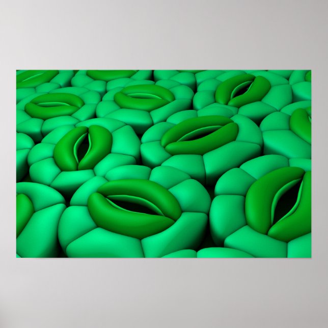 Affiche Image Conceptuelle De Stomata 1 (Devant)