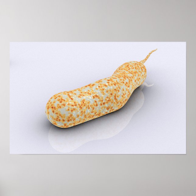 Affiche Image Conceptuelle De Vibrio Cholerae 3 (Devant)