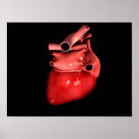 Image Conceptuelle Du Coeur Humain 3