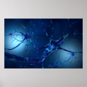 Affiche Image conceptuelle du neurone 2