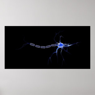Affiche Image Conceptuelle D'Un Neuron 2