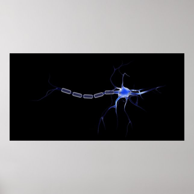 Affiche Image Conceptuelle D'Un Neuron 2 (Devant)