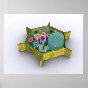 Affiche Image Conceptuelle D'Une Cellule Plante