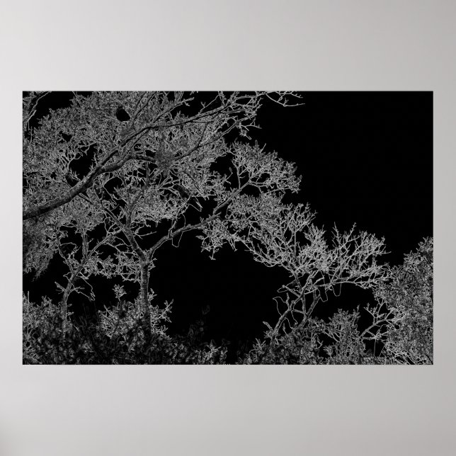 Affiche Image de J.W. Fatherree dans Dark Art Crows in a T (Devant)