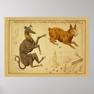 Affiche Image de la carte astronomique Vintage Canis