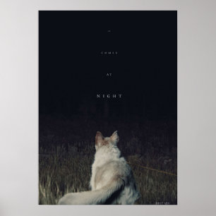 Affiche Image de Night Movie