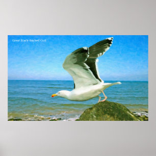 Affiche Image d'oiseau pour l'affiche