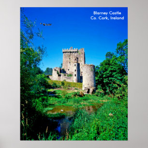 Affiche Image irlandaise de l'affiche