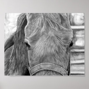 Affiche Image rodéo