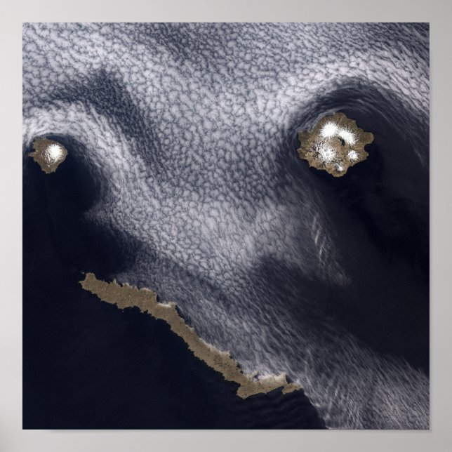 Affiche Image satellite de l'île de Semisopochnoi (Devant)