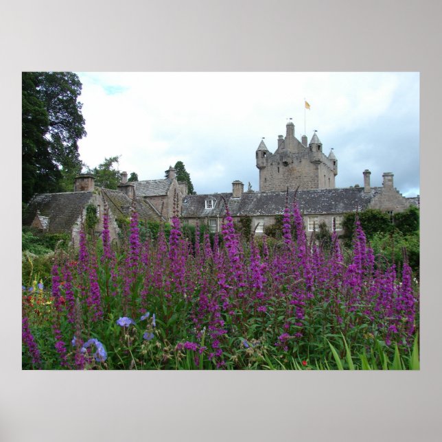Affiche Image violet (Devant)