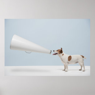 Affiche Images Getty   Chien parlant