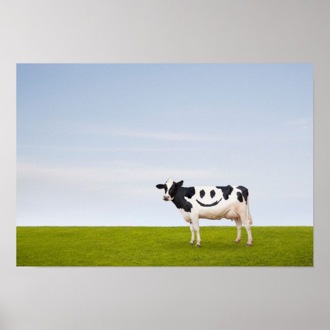 Affiche Images Getty | Vache à visage souriant (Devant)