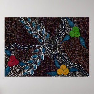 Affiche Imaginaire autochtone