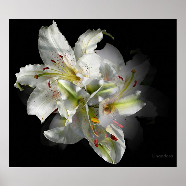 Affiche Imaginaire blanc Lily (Devant)