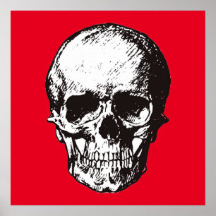 Affiche Imaginaire crâne Art Rock Punk Métal lourd