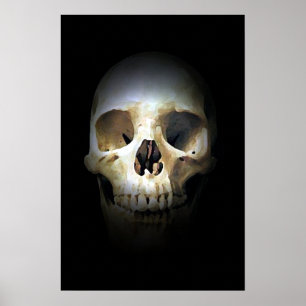 Affiche Imaginaire crâne Art Rock Punk Métal lourd