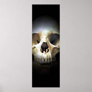 Affiche Imaginaire crâne Art Rock Punk Métal lourd